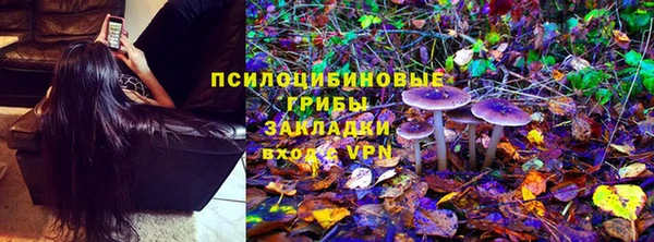 стаф Алексеевка
