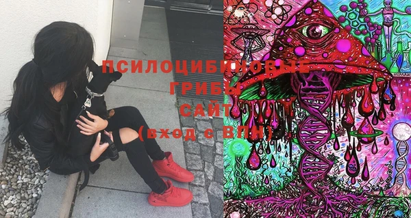 MDMA Premium VHQ Алзамай