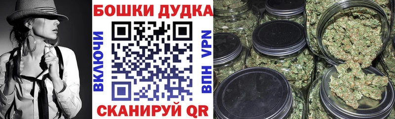 Бошки Шишки MAZAR  где купить   Дно 